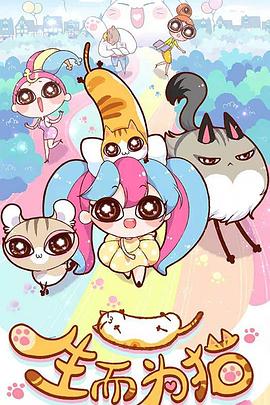 路北区服务好的seo优化推荐